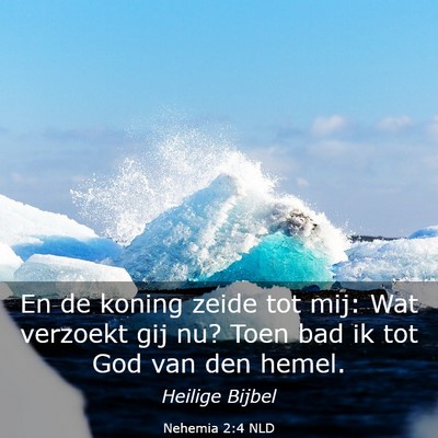 Picture 03 - Nehemia 2:4 NLD - En de koning zeide tot mij: Wat verzoekt gij nu? - Bible Verse Picture
