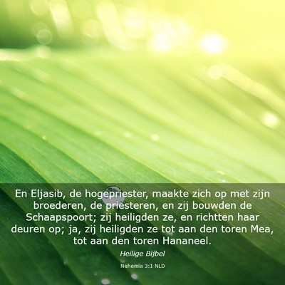 Picture 03 - Nehemia 3:1 NLD - En Eljasib, de hogepriester, maakte zich op met - Bible Verse Picture