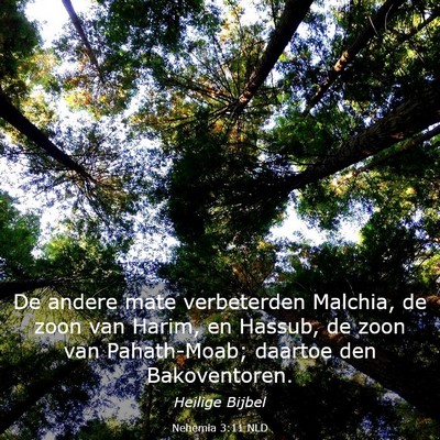Picture 03 - Nehemia 3:11 NLD - De andere mate verbeterden Malchia, de zoon van - Bible Verse Picture
