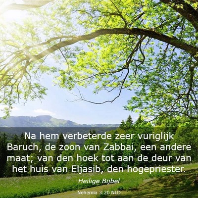 Picture 03 - Nehemia 3:20 NLD - Na hem verbeterde zeer vuriglijk Baruch, de zoon - Bible Verse Picture