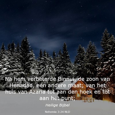 Picture 03 - Nehemia 3:24 NLD - Na hem verbeterde Binnui, de zoon van Henadad, - Bible Verse Picture