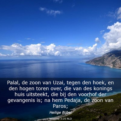 Picture 03 - Nehemia 3:25 NLD - Palal, de zoon van Uzai, tegen den hoek, en den - Bible Verse Picture