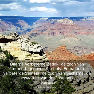 Picture 03 - Nehemia 3:29 NLD - Daarna verbeterde Zadok, de zoon van Immer, - Bible Verse Picture
