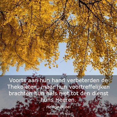 Picture 03 - Nehemia 3:5 NLD - Voorts aan hun hand verbeterden de Thekoieten; - Bible Verse Picture