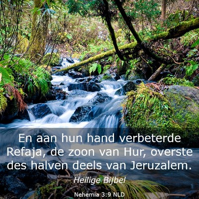 Picture 03 - Nehemia 3:9 NLD - En aan hun hand verbeterde Refaja, de zoon van - Bible Verse Picture