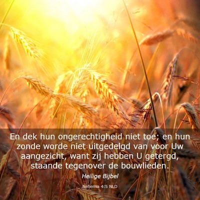 Picture 03 - Nehemia 4:5 NLD - En dek hun ongerechtigheid niet toe; en hun zonde - Bible Verse Picture