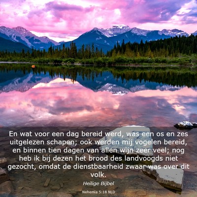 Picture 03 - Nehemia 5:18 NLD - En wat voor een dag bereid werd, was een os en - Bible Verse Picture