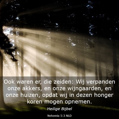 Picture 03 - Nehemia 5:3 NLD - Ook waren er, die zeiden: Wij verpanden onze - Bible Verse Picture