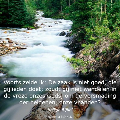 Picture 03 - Nehemia 5:9 NLD - Voorts zeide ik: De zaak is niet goed, die - Bible Verse Picture