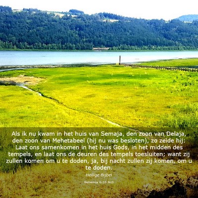 Picture 03 - Nehemia 6:10 NLD - Als ik nu kwam in het huis van Semaja, den zoon - Bible Verse Picture