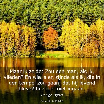 Picture 03 - Nehemia 6:11 NLD - Maar ik zeide: Zou een man, als ik, vlieden? En - Bible Verse Picture