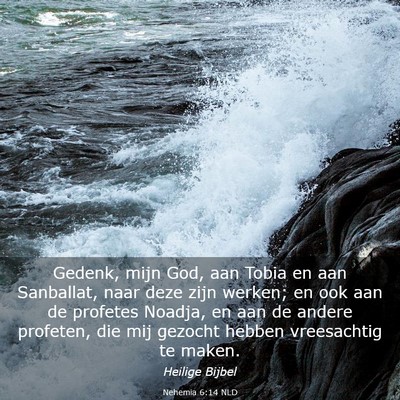 Picture 03 - Nehemia 6:14 NLD - Gedenk, mijn God, aan Tobia en aan Sanballat, - Bible Verse Picture