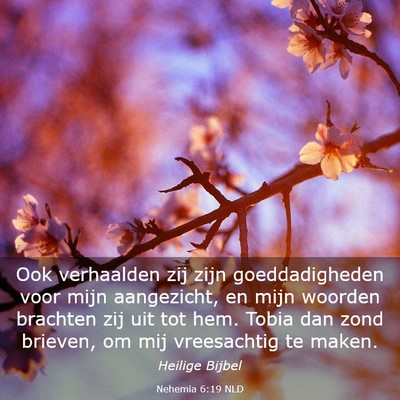 Picture 03 - Nehemia 6:19 NLD - Ook verhaalden zij zijn goeddadigheden voor mijn - Bible Verse Picture
