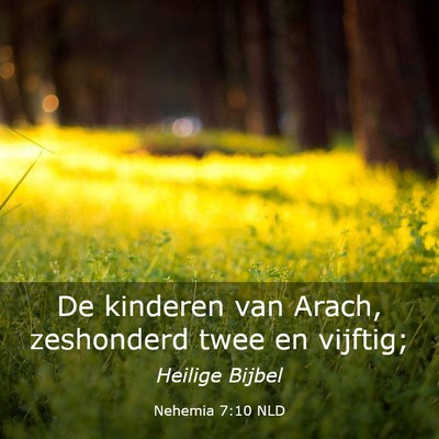 Picture 03 - Nehemia 7:10 NLD - De kinderen van Arach, zeshonderd twee en - Bible Verse Picture