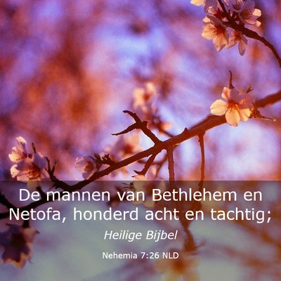 Picture 03 - Nehemia 7:26 NLD - De mannen van Bethlehem en Netofa, honderd acht - Bible Verse Picture