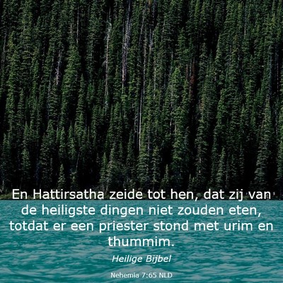 Picture 03 - Nehemia 7:65 NLD - En Hattirsatha zeide tot hen, dat zij van de - Bible Verse Picture