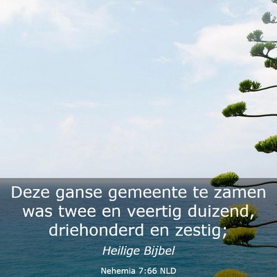 Picture 03 - Nehemia 7:66 NLD - Deze ganse gemeente te zamen was twee en veertig - Bible Verse Picture