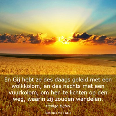 Picture 03 - Nehemia 9:12 NLD - En Gij hebt ze des daags geleid met een - Bible Verse Picture
