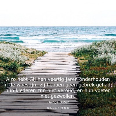 Picture 03 - Nehemia 9:21 NLD - Alzo hebt Gij hen veertig jaren onderhouden in de - Bible Verse Picture