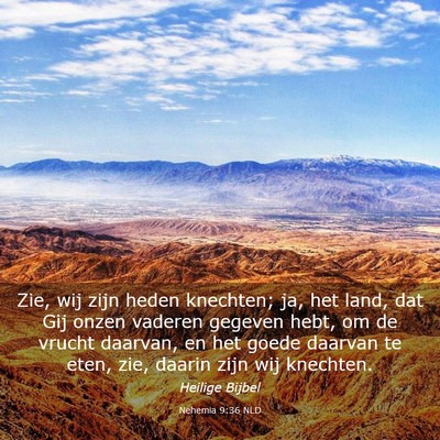 Picture 03 - Nehemia 9:36 NLD - Zie, wij zijn heden knechten; ja, het land, dat - Bible Verse Picture