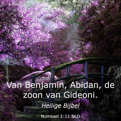 Picture 03 - Numberi 1:11 NLD - Van Benjamin, Abidan, de zoon van - Bible Verse Picture