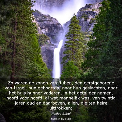 Picture 03 - Numberi 1:20 NLD - Zo waren de zonen van Ruben, den eerstgeborene - Bible Verse Picture