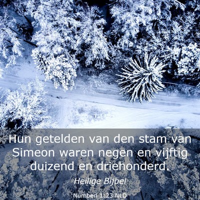 Picture 03 - Numberi 1:23 NLD - Hun getelden van den stam van Simeon waren negen - Bible Verse Picture