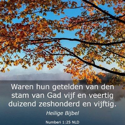 Picture 03 - Numberi 1:25 NLD - Waren hun getelden van den stam van Gad vijf en - Bible Verse Picture