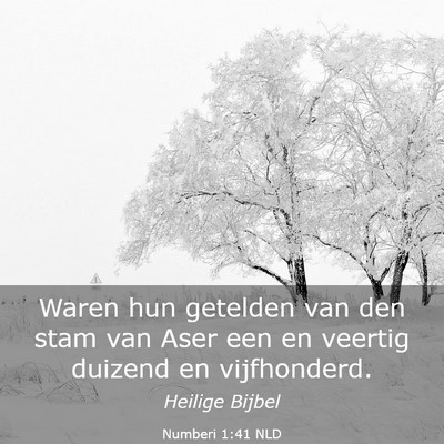 Picture 03 - Numberi 1:41 NLD - Waren hun getelden van den stam van Aser een en - Bible Verse Picture