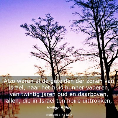 Picture 03 - Numberi 1:45 NLD - Alzo waren al de getelden der zonen van Israel, - Bible Verse Picture