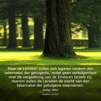 Picture 03 - Numberi 1:53 NLD - Maar de Levieten zullen zich legeren rondom den - Bible Verse Picture