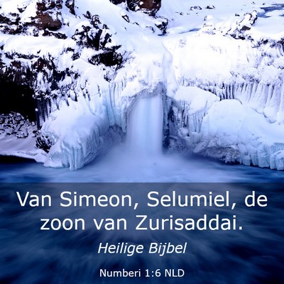 Picture 03 - Numberi 1:6 NLD - Van Simeon, Selumiel, de zoon van - Bible Verse Picture