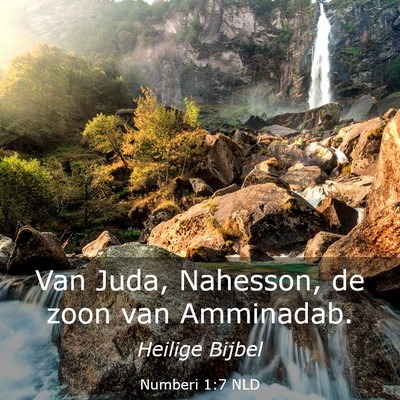 Picture 03 - Numberi 1:7 NLD - Van Juda, Nahesson, de zoon van - Bible Verse Picture