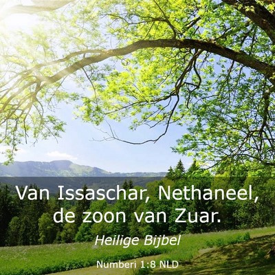Picture 03 - Numberi 1:8 NLD - Van Issaschar, Nethaneel, de zoon van - Bible Verse Picture