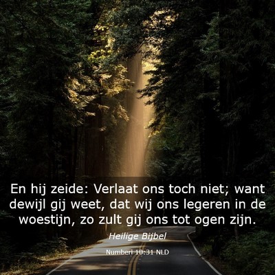 Picture 03 - Numberi 10:31 NLD - En hij zeide: Verlaat ons toch niet; want dewijl - Bible Verse Picture