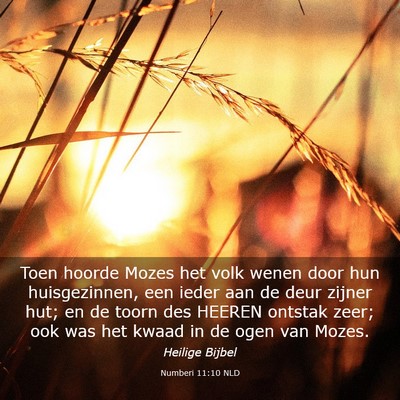 Picture 03 - Numberi 11:10 NLD - Toen hoorde Mozes het volk wenen door hun - Bible Verse Picture
