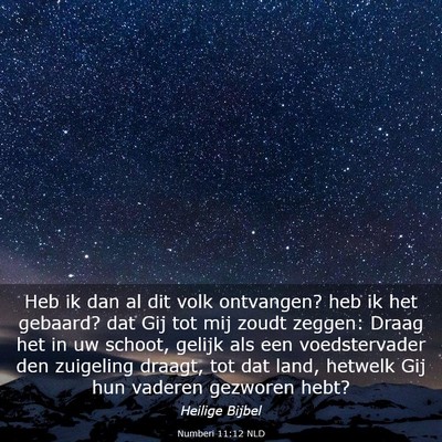 Picture 03 - Numberi 11:12 NLD - Heb ik dan al dit volk ontvangen? heb ik het - Bible Verse Picture