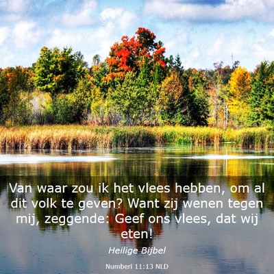 Picture 03 - Numberi 11:13 NLD - Van waar zou ik het vlees hebben, om al dit volk - Bible Verse Picture