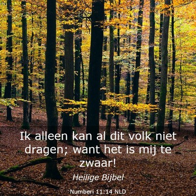 Picture 03 - Numberi 11:14 NLD - Ik alleen kan al dit volk niet dragen; want het - Bible Verse Picture