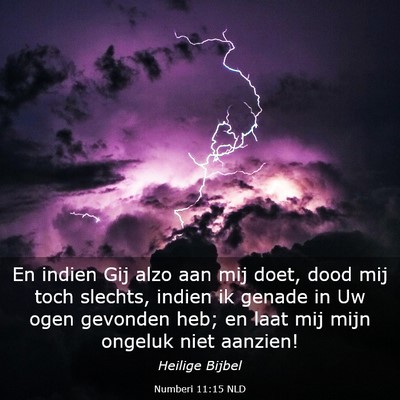 Picture 03 - Numberi 11:15 NLD - En indien Gij alzo aan mij doet, dood mij toch - Bible Verse Picture