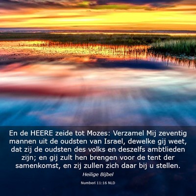 Picture 03 - Numberi 11:16 NLD - En de HEERE zeide tot Mozes: Verzamel Mij - Bible Verse Picture