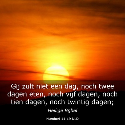 Picture 03 - Numberi 11:19 NLD - Gij zult niet een dag, noch twee dagen eten, noch - Bible Verse Picture