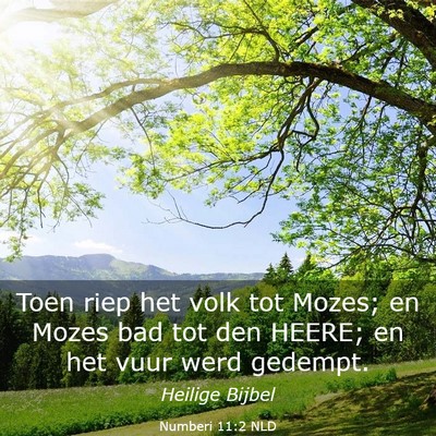 Picture 03 - Numberi 11:2 NLD - Toen riep het volk tot Mozes; en Mozes bad tot - Bible Verse Picture