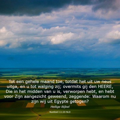 Picture 03 - Numberi 11:20 NLD - Tot een gehele maand toe, totdat het uit uw neus - Bible Verse Picture