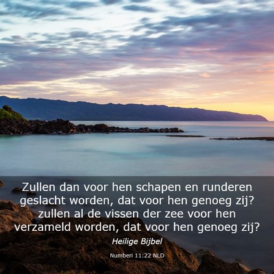 Picture 03 - Numberi 11:22 NLD - Zullen dan voor hen schapen en runderen geslacht - Bible Verse Picture
