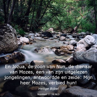 Picture 03 - Numberi 11:28 NLD - En Jozua, de zoon van Nun, de dienaar van Mozes, - Bible Verse Picture