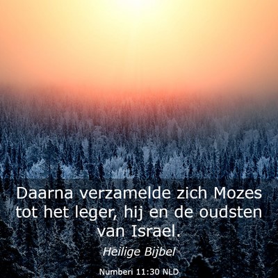 Picture 03 - Numberi 11:30 NLD - Daarna verzamelde zich Mozes tot het leger, hij - Bible Verse Picture