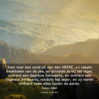 Picture 03 - Numberi 11:31 NLD - Toen voer een wind uit van den HEERE, en raapte - Bible Verse Picture