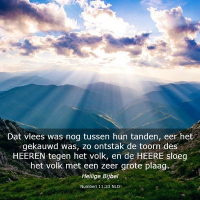 Picture 03 - Numberi 11:33 NLD - Dat vlees was nog tussen hun tanden, eer het - Bible Verse Picture