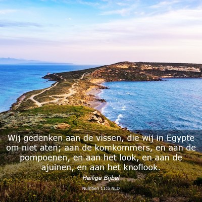 Picture 03 - Numberi 11:5 NLD - Wij gedenken aan de vissen, die wij in Egypte om - Bible Verse Picture